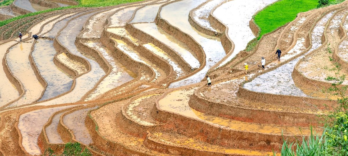 Tour Mù Cang Chải Tây Bắc - Điểm đến đáng để trải nghiệm 1 Ảnh sưu tầm - Tour Mù Cang Chải Tây Bắc