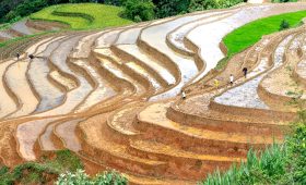 Ảnh sưu tầm - Tour Mù Cang Chải Tây Bắc