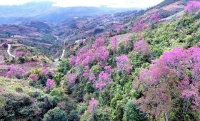 Ảnh sưu tầm - Thế Sinh Tourism - Cùng bạn khám phá Mù Cang Chải thơ mộng - Tour Tây Bắc Mù Cang Chải