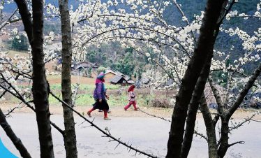 Đặt tour du lịch Hà Giang cùng Thế Sinh Tourism