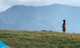 Tham quan Hà giang cùng Thế Sinh Tourism -