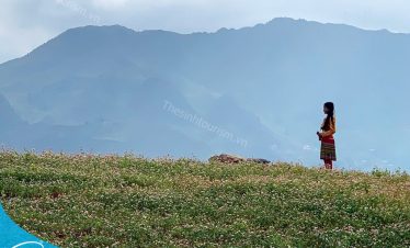 Tham quan Hà giang cùng Thế Sinh Tourism -
