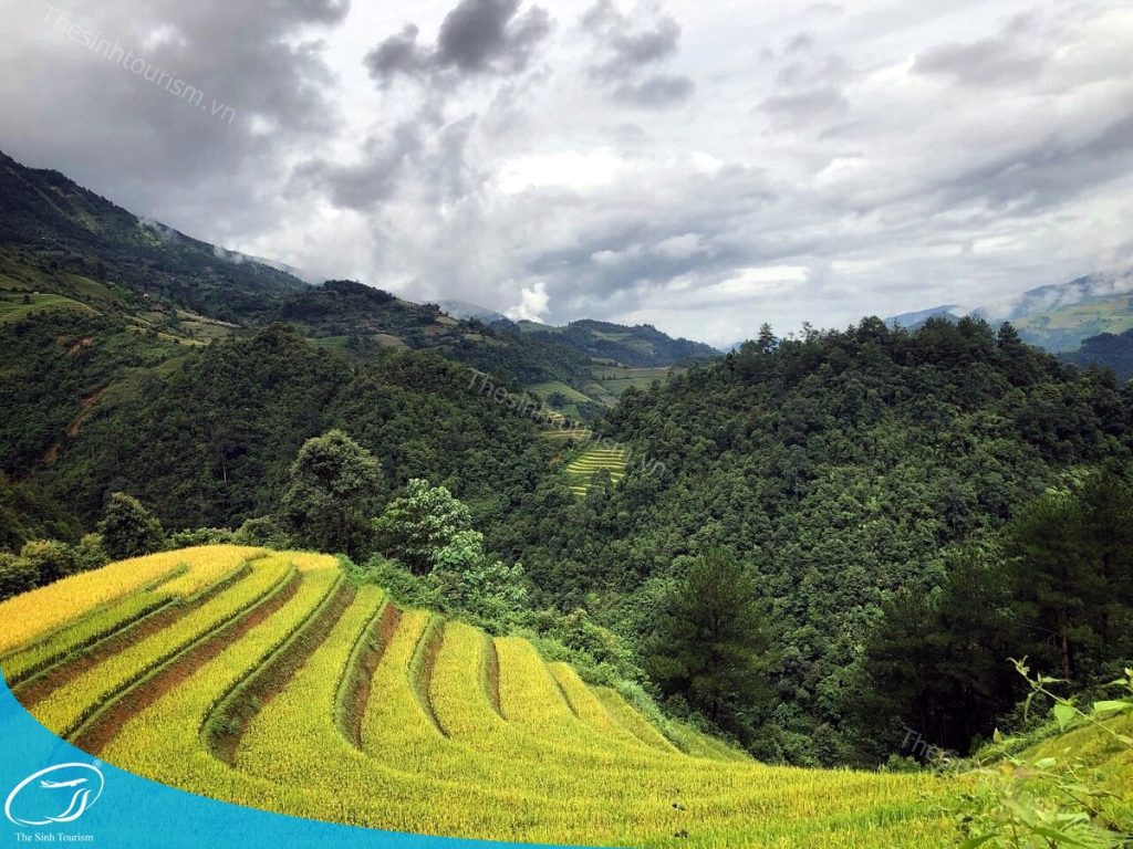 Đi Sapa 3 ngày 2 đêm cùng Thế Sinh