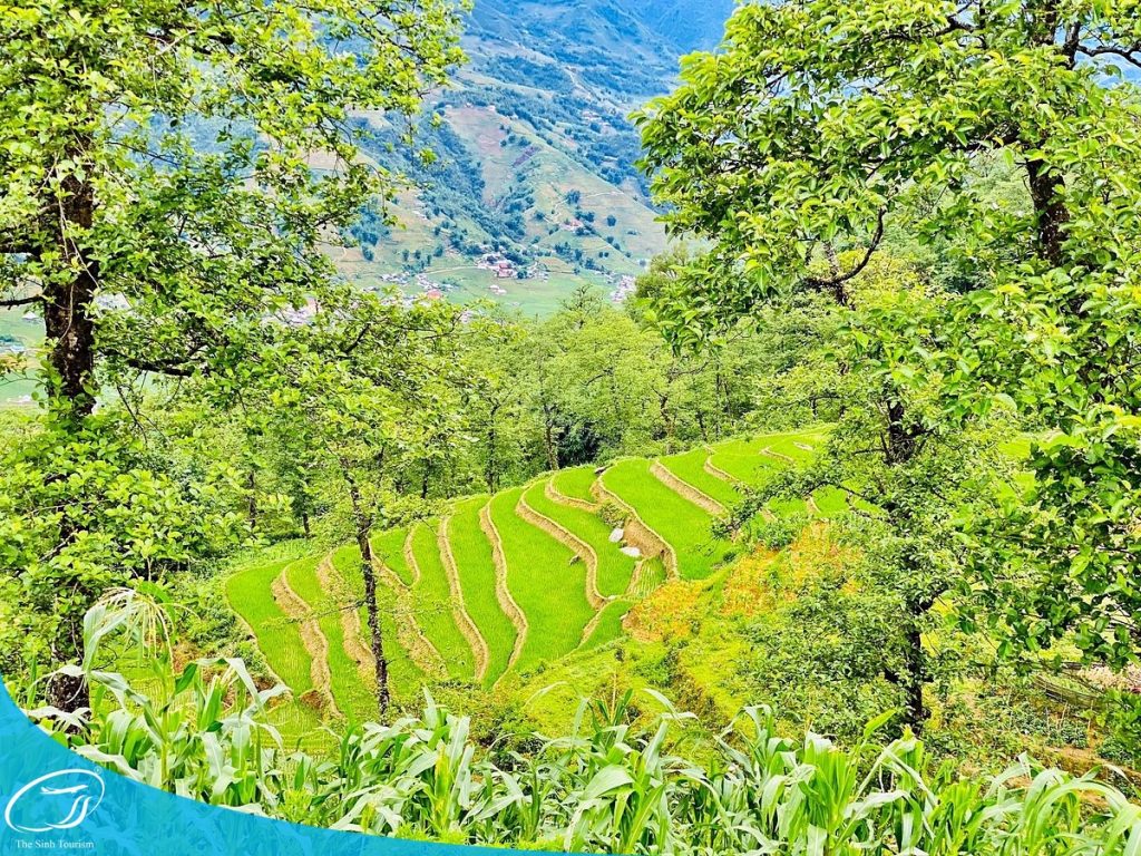 Kinh nghiệm du lịch Sapa - Đi Sapa vào tháng mấy tốt nhất ?