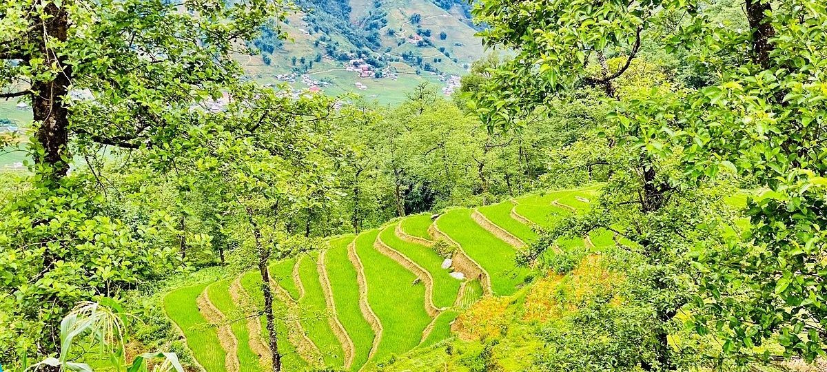 Kinh Nghiệm Du Lịch Sapa: Đi Sapa Vào Tháng Mấy Là Lý Tưởng? 1 Kinh nghiệm du lịch Sapa - Đi Sapa vào tháng mấy tốt nhất ?
