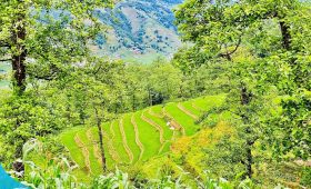 Kinh nghiệm du lịch Sapa - Đi Sapa vào tháng mấy tốt nhất ?