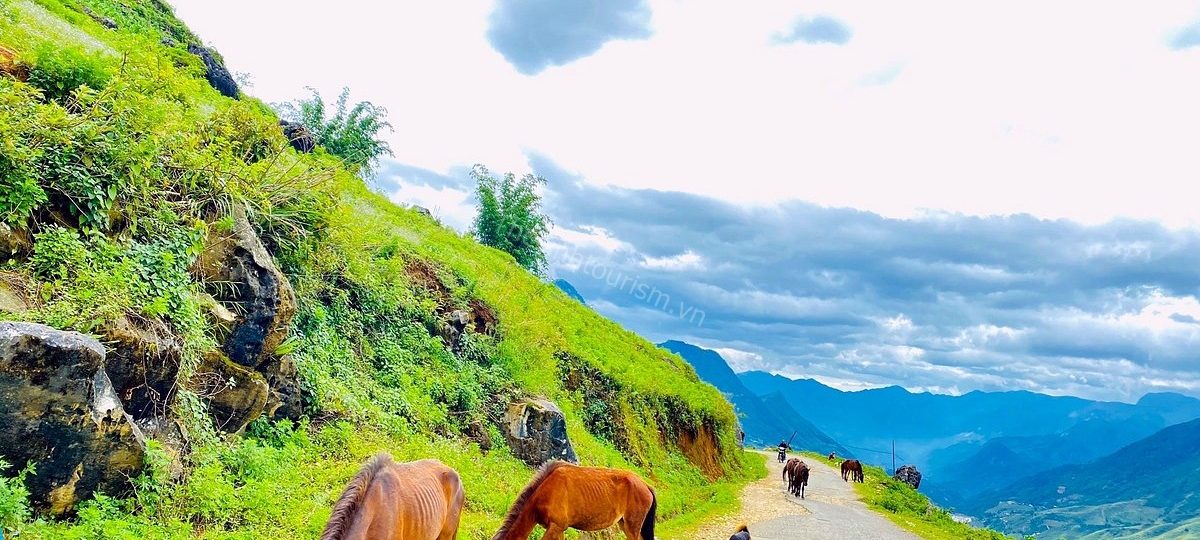 Tour Sapa 2n1d - Thiên đường du lịch nghỉ dưỡng giữa mùa thu đẹp nhất Việt Nam 1 Du lịch Sapa cùng Thế Sinh Tourism - Tour Sapa 2n1d
