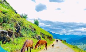 Du lịch Sapa cùng Thế Sinh Tourism - Tour Sapa 2n1d