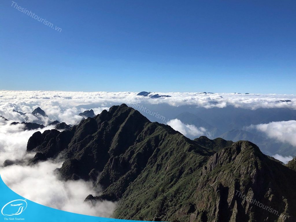 Khám phá Fansipan - Du lịch Sa Pa cùng Thế Sinh Tourist