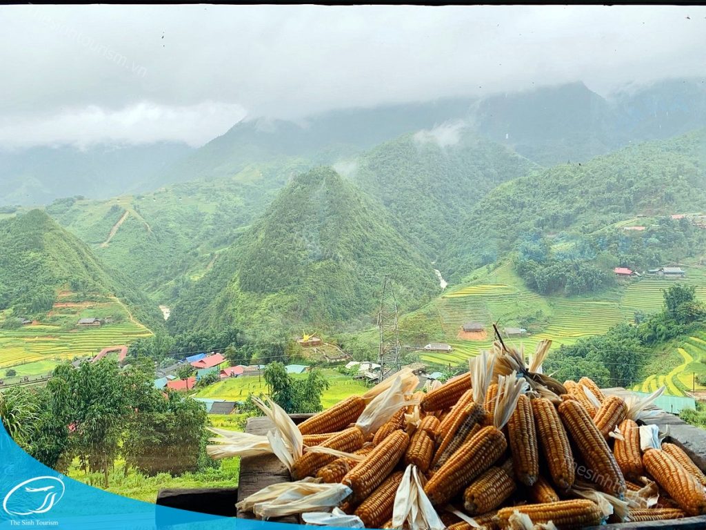 Du lịch tới thị trấn Sapa cùng Thế Sinh Tourism