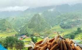 Du lịch tới thị trấn Sapa cùng Thế Sinh Tourism