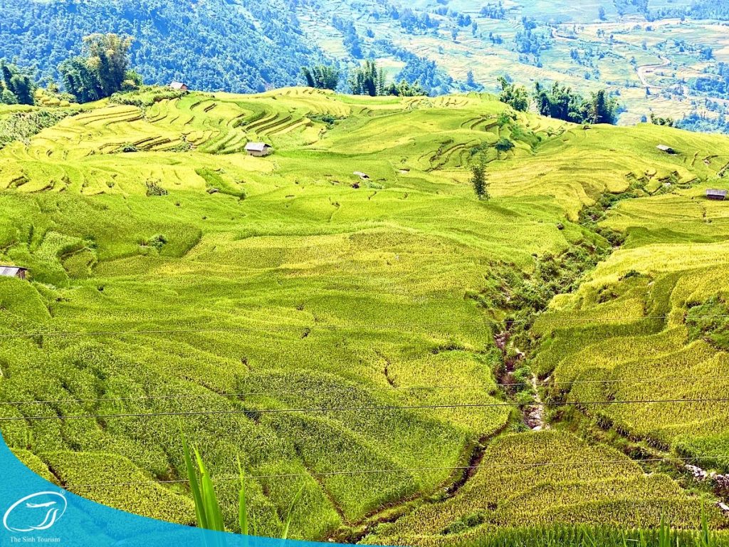 Đi du lịch Sa Pa cùng Thế Sinh Tourism - Tour đi Sapa 2n1d