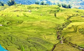 Đi du lịch Sa Pa cùng Thế Sinh Tourism - Tour đi Sapa 2n1d