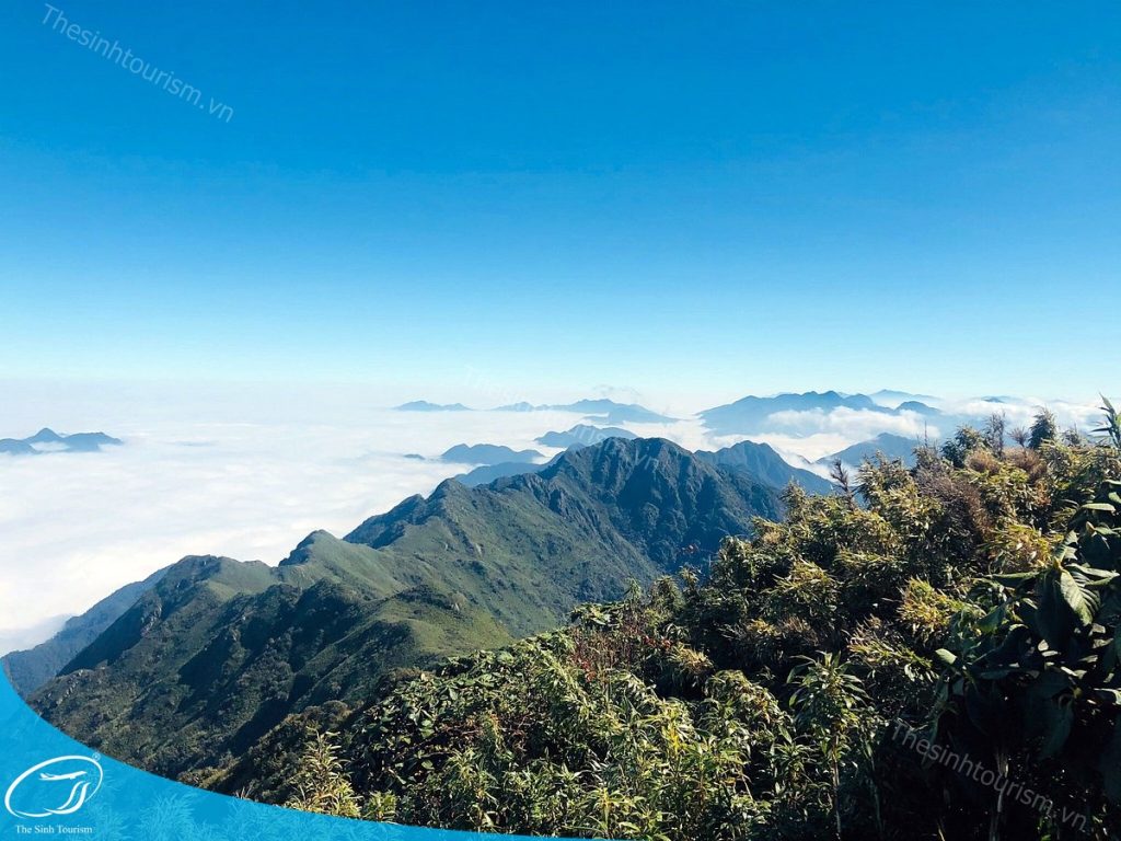Đặt tour du lịch Sa Pa cùng Thế Sinh Tourism