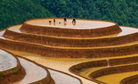 Ảnh sưu tầm - Khám phá Mù Cang Chải Tây Bắc - Thế Sinh Tourism - Địa chỉ đặt tour Mù Cang Chải uy tín