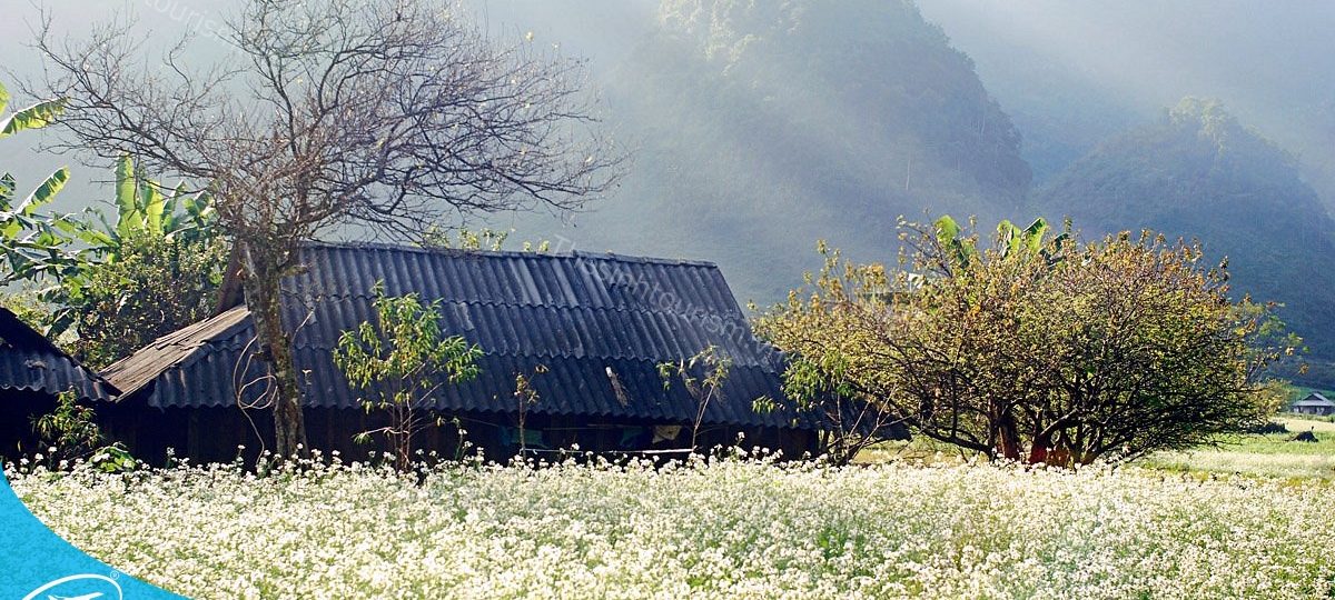 Khám phá vẻ đẹp núi rừng và sông suối với tour Mộc Châu 2 ngày 1 đêm 1 Đặt tour Mộc Châu 2 ngày 1 đêm cùng Thế Sinh Tourist