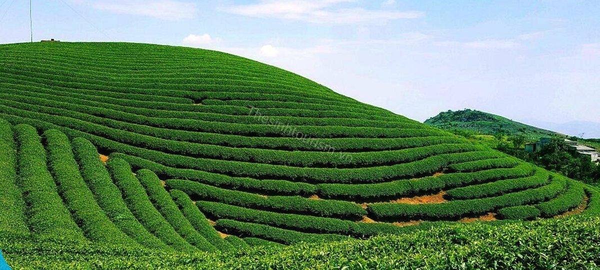 Bảng Giá Tour Du Lịch Mộc Châu Tại Thế Sinh Tourism 1 Du lịch Mộc Châu - Tham khảo bảng giá tour du lịch Mộc Châu tại Thế Sinh Tourism