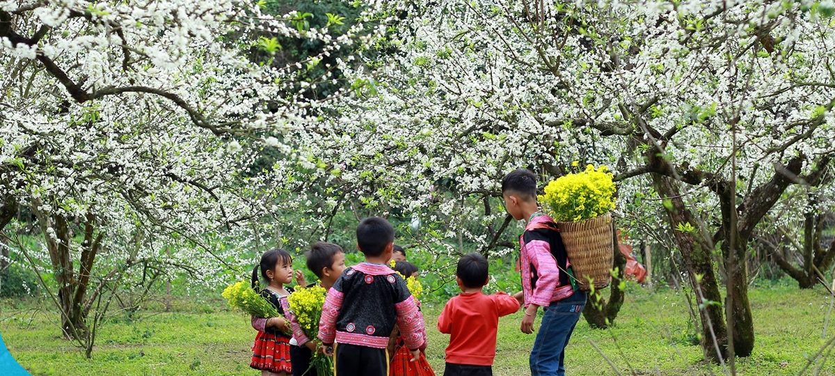 Tham quan Mộc Châu - Vùng đất xinh đẹp của Tây Bắc 1 Tham quan Mộc Châu cùng Thế Sinh Tourism