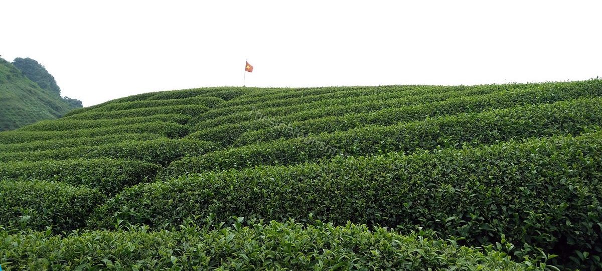Đi du lịch Mộc Châu bạn cần trang bị những gì ? 1 Đi du lịch Mộc Châu