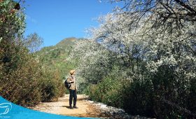 Du lịch Mộc Châu - Kinh nghiệm đi du lịch Mộc Châu bạn nên biết