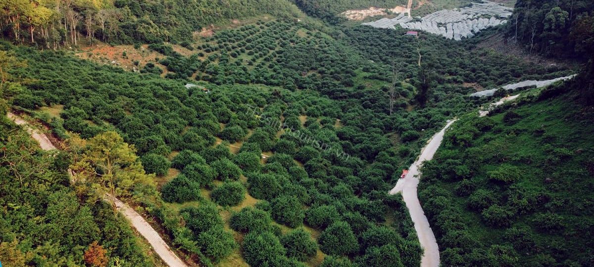Đặt tour du lịch Mộc Châu ở đâu tốt nhất ? 1 Địa chỉ đặt tour đi Mộc Châu tại văn phòng Thế Sinh Tourism: 50 Đường Thành, Hoàn Kiếm, Hà Nội