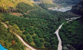 Địa chỉ đặt tour đi Mộc Châu tại văn phòng Thế Sinh Tourism: 50 Đường Thành, Hoàn Kiếm, Hà Nội