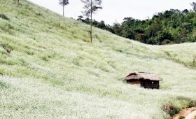 Tour đi du lịch Mộc Châu