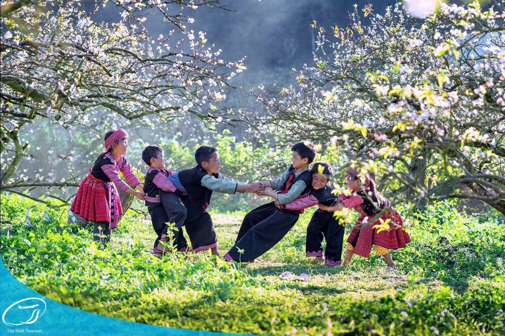 Trải nghiệm mùa xuân ở Mộc Châu cùng Thế Sinh