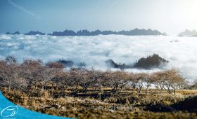 Đặt tour du lịch Mộc Châu với Thế Sinh Tourism