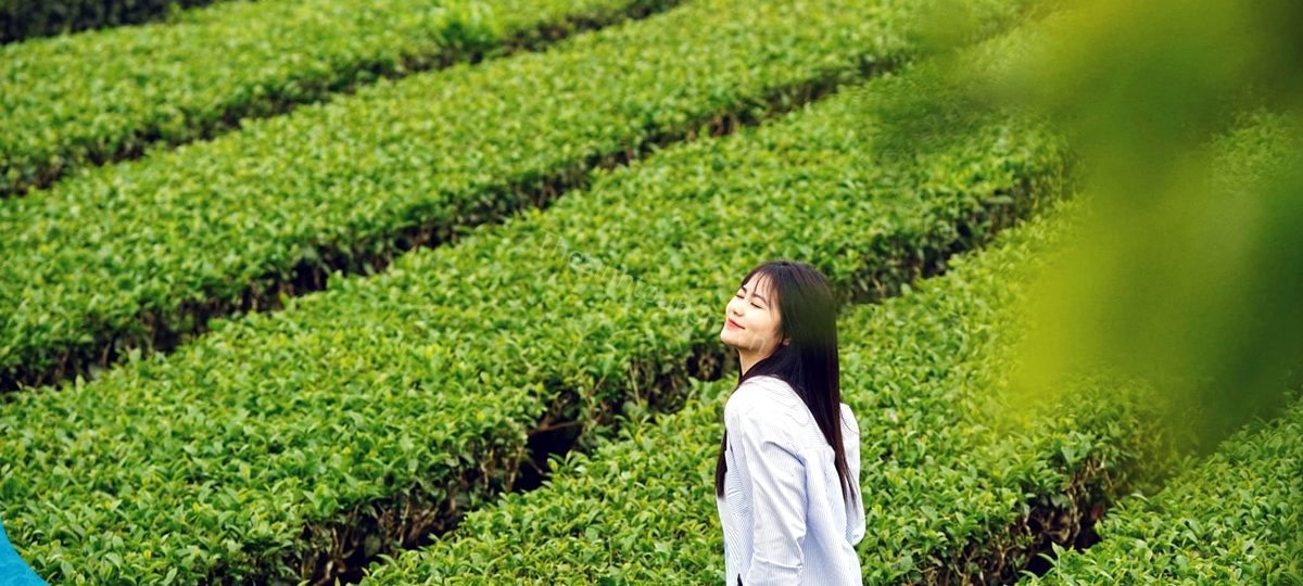 Tour đi Mộc Châu - Nơi tìm về yên bình và trải nghiệm cuộc sống đơn giản 1 Đi Mộc Châu du lịch cùng Thế Sinh