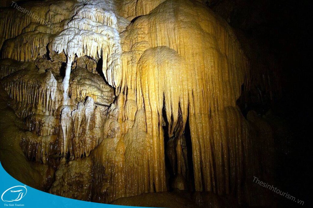 Tham quan động Ngườm Ngao cùng Thế Sinh Tourism