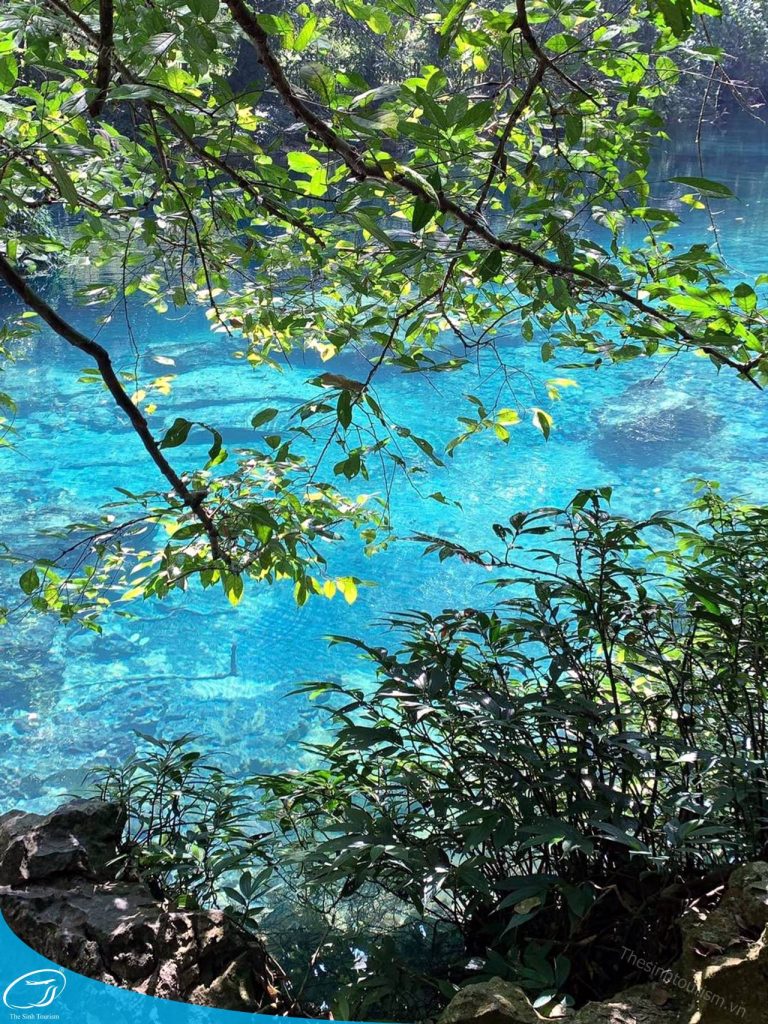 Đi Tour Cao Bằng - Điểm Đến Mới Lạ Cho Những Trải Nghiệm Đáng Nhớ 10 tour du lich cao bang di thac ban gioc the sinh tourism the sinh tourist sinh cafe travel 088 20240608