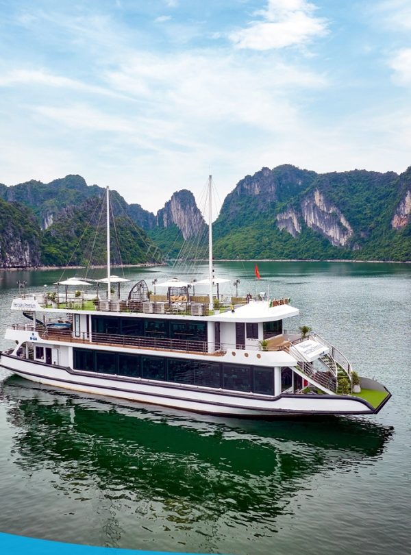 Bảng giá tour du thuyền Hạ Long mới nhất tại Thế Sinh Tourist