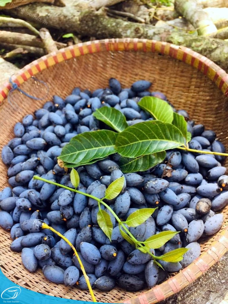 dac san cao bang am thuc cao bang tour du lich cao bang the sinh tourist 011