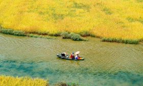 Ảnh sưu tầm - Tour Ninh Bình 2 ngày 1 đêm cùng Thế Sinh Tourism