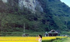 tour du lich cao bang the sinh tourism the sinh tourist sinh cafe travel 050 20240808