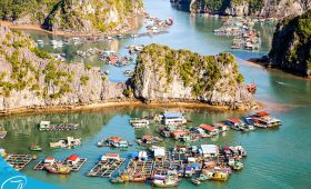 Du lịch đảo Cát Bà - Đi Cát Bà 2 ngày 1 đêm