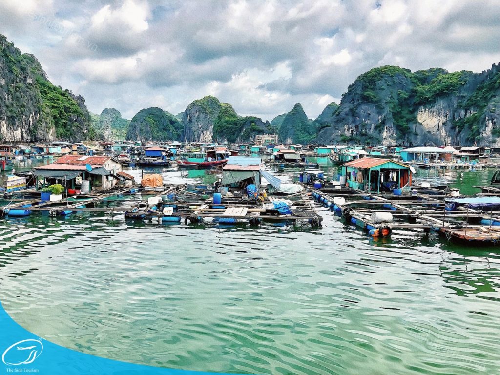 Du lịch Cát Bà 2 ngày 1 đêm cùng Thế Sinh Tourist