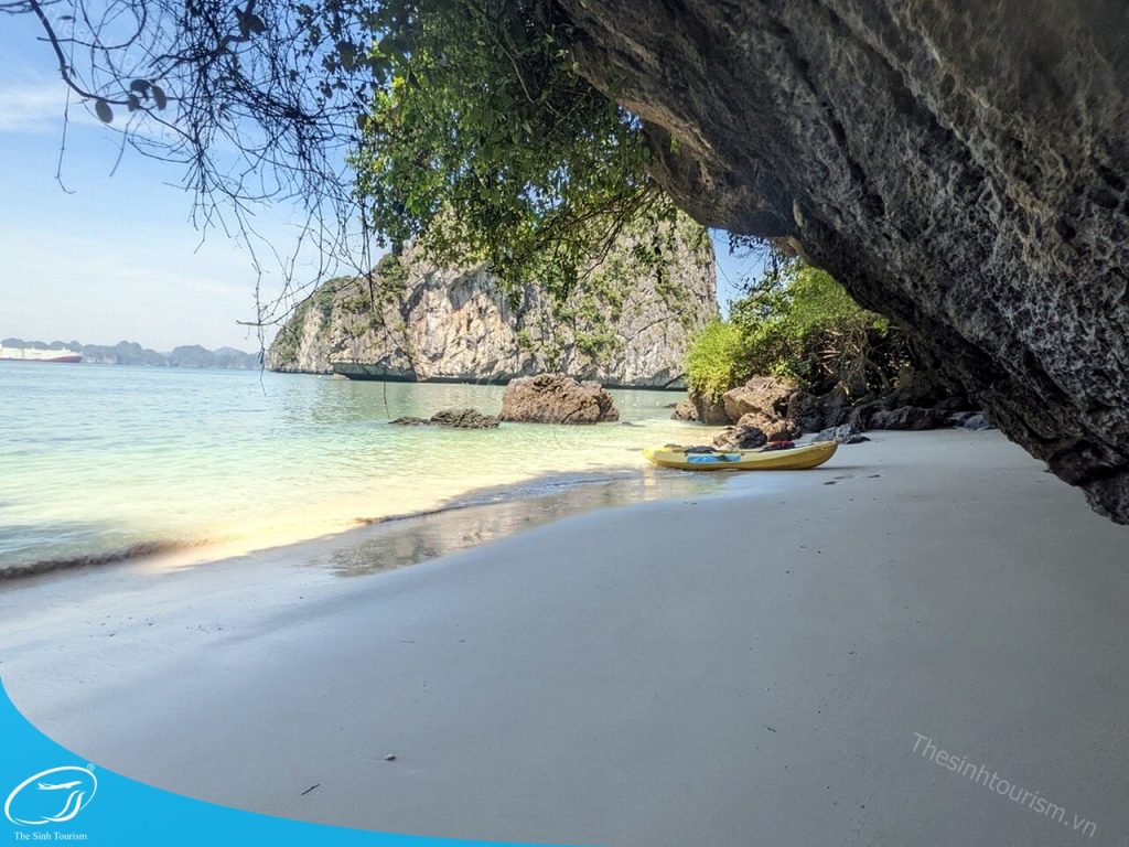 Đi du lịch đảo Cát Bà