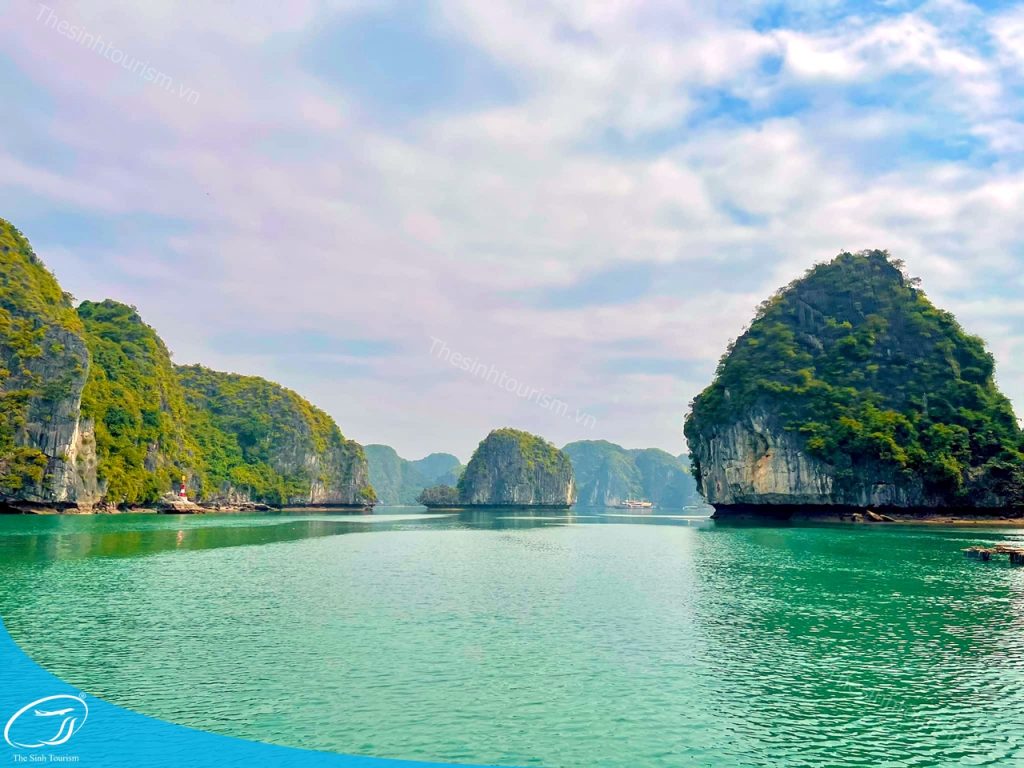 Thế Sinh Tourism – Đơn Vị Tổ Chức Tour Đảo Cát Bà Uy Tín Và Chất Lượng 5 Du lịch đảo Cát Bà - Báo giá tour Cát Bà mới nhất