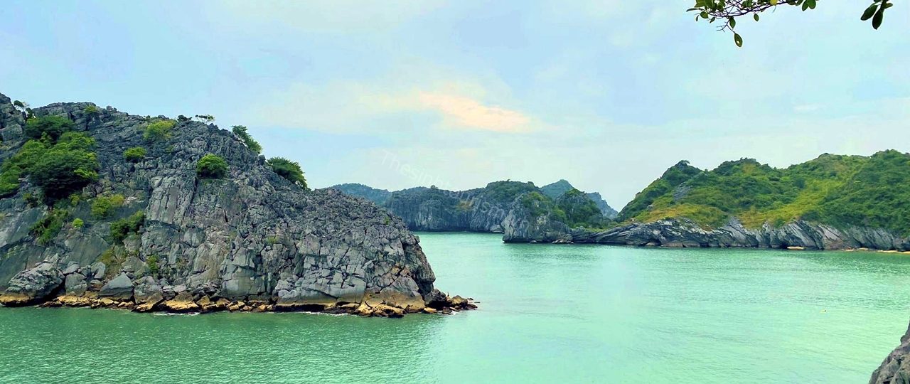 Thế Sinh Tourism – Đơn Vị Tổ Chức Tour Đảo Cát Bà Uy Tín Và Chất Lượng 1 Du thuyền 5 sao Vịnh Lan Hạ cùng Thế Sinh Tourism