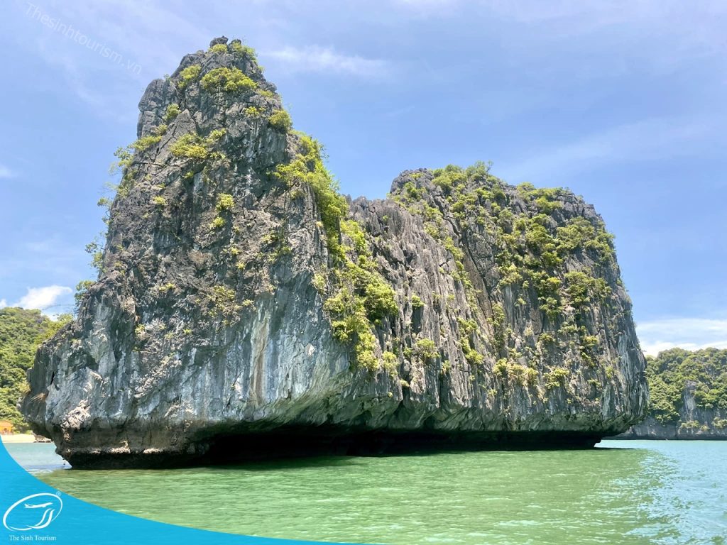 Khám Phá Du Thuyền 5 Sao Vịnh Lan Hạ – Trải Nghiệm Đẳng Cấp Trên Biển 3 tour du lich cat ba du lich dao cat ba vinh lan ha the sinh tourist sinh cafe travel 027 20240919