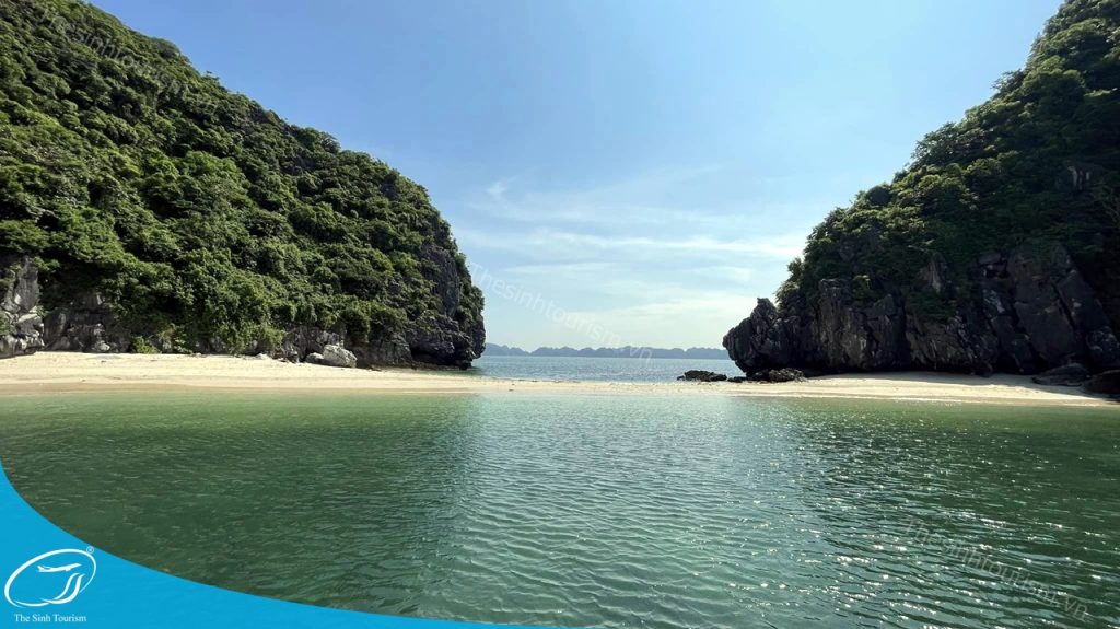 Thế Sinh Tourism – Đơn Vị Tổ Chức Tour Đảo Cát Bà Uy Tín Và Chất Lượng 3 Du lịch Cát Bà 2 ngày 1 đêm cùng Thế Sinh Tourism