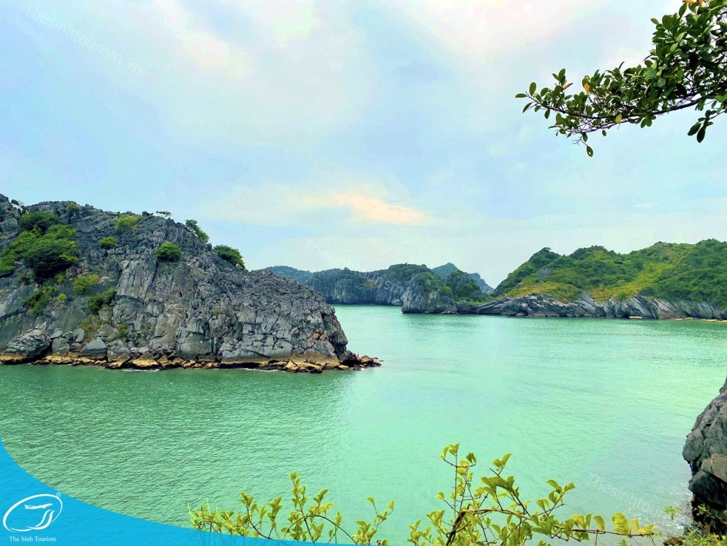 Thế Sinh Tourism – Đơn Vị Tổ Chức Tour Đảo Cát Bà Uy Tín Và Chất Lượng 8 Đặt tour đi Cát Bà cùng Thế Sinh