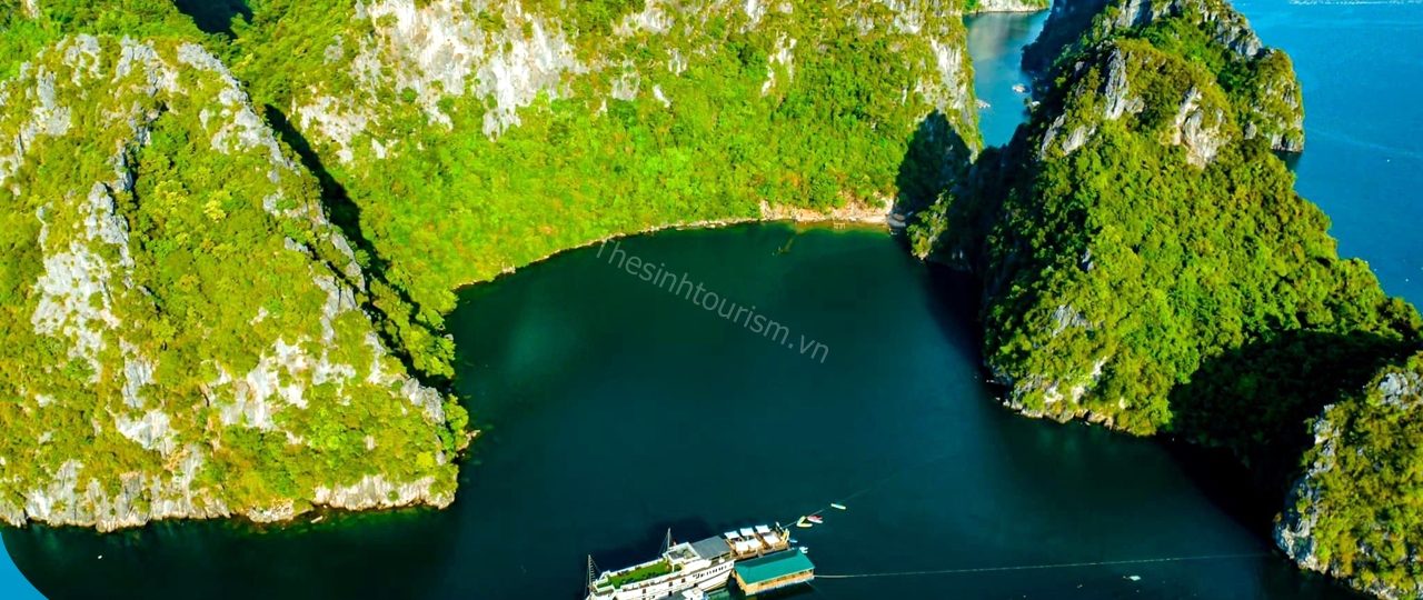 Đặt Tour Cát Bà 2 Ngày 1 Đêm Cùng Thế Sinh – Khám Phá Những Điểm Đến Hấp Dẫn Tại Hòn Đảo Ngọc 1 Du lịch Cát Bà cùng Thế Sinh