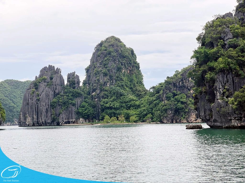 Du thuyền 3 sao vịnh Lan Hạ cùng Thế Sinh Tourism