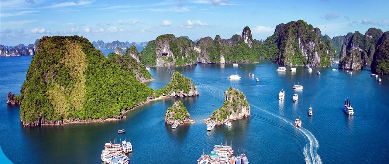 Du Lịch Cát Bà - Thiên Đường Sinh Thái Giữa Biển Khơi 1 Du lịch Cát Bà cùng Thế Sinh Tourist