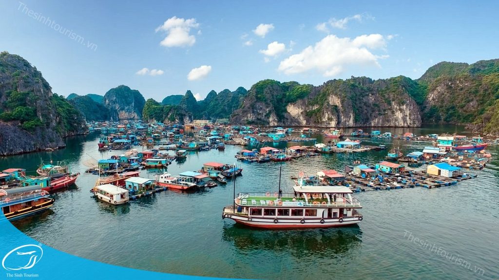 Thế Sinh Tourism – Đơn Vị Tổ Chức Tour Đảo Cát Bà Uy Tín Và Chất Lượng 4 Đặt tour Cát Bà 2 ngày 1 đêm cùng Thế Sinh Tourism