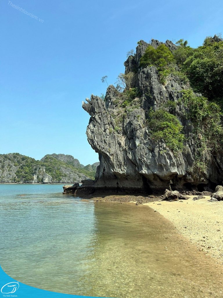 Khám Phá Du Thuyền 5 Sao Vịnh Lan Hạ – Trải Nghiệm Đẳng Cấp Trên Biển 6 tour du lich cat ba du lich dao cat ba vinh lan ha the sinh tourist sinh cafe travel caption 20240919 103700