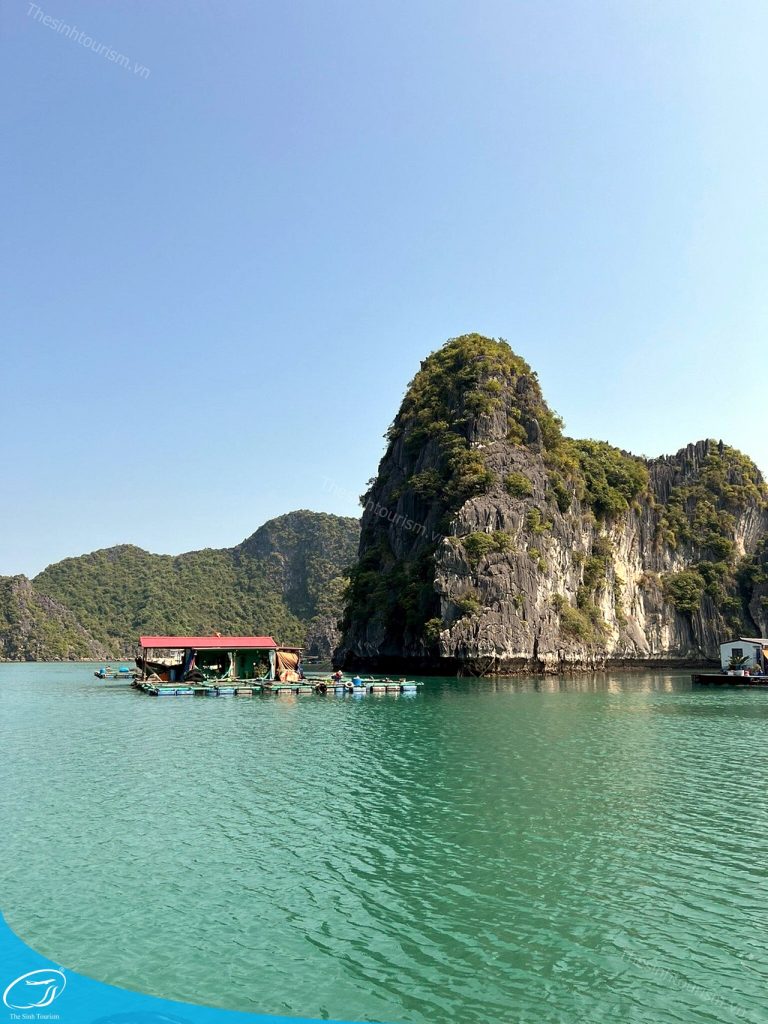 Thế Sinh Tourism – Đơn Vị Tổ Chức Tour Đảo Cát Bà Uy Tín Và Chất Lượng 12 tour du lich cat ba du lich dao cat ba vinh lan ha the sinh tourist sinh cafe travel caption 3 20240919 103700